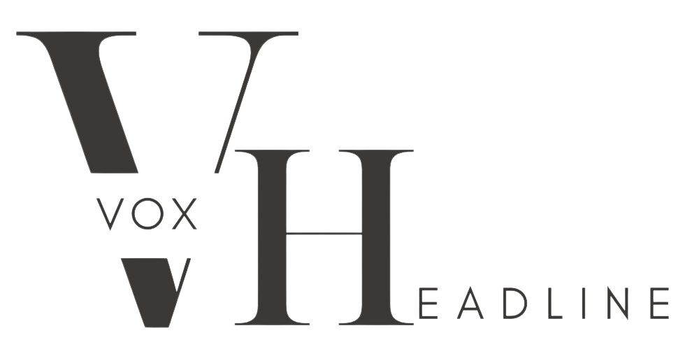 voxheadline logo