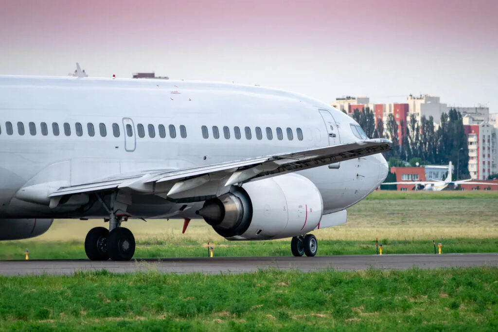 Plane's Wing